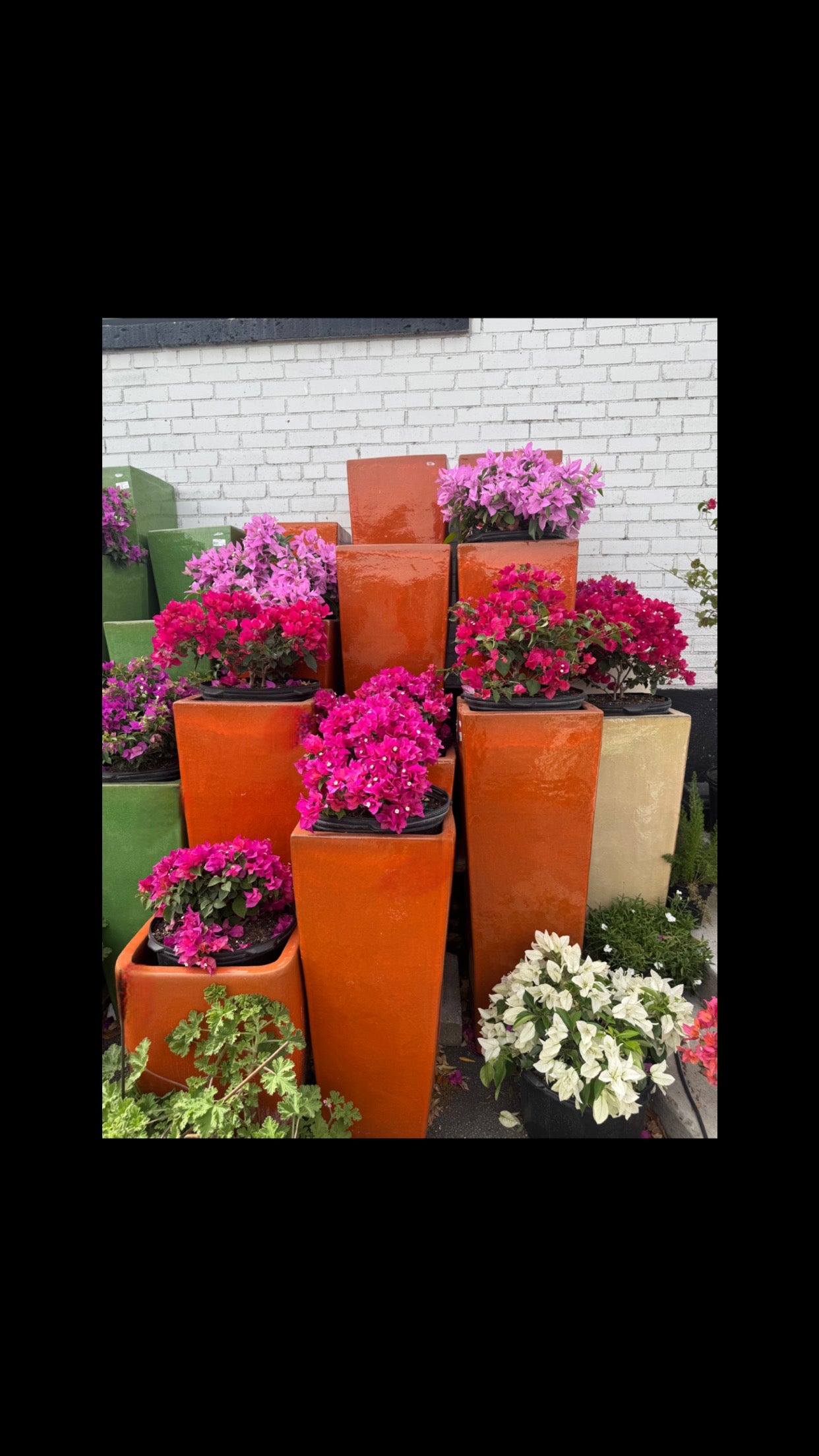 Orange Planters