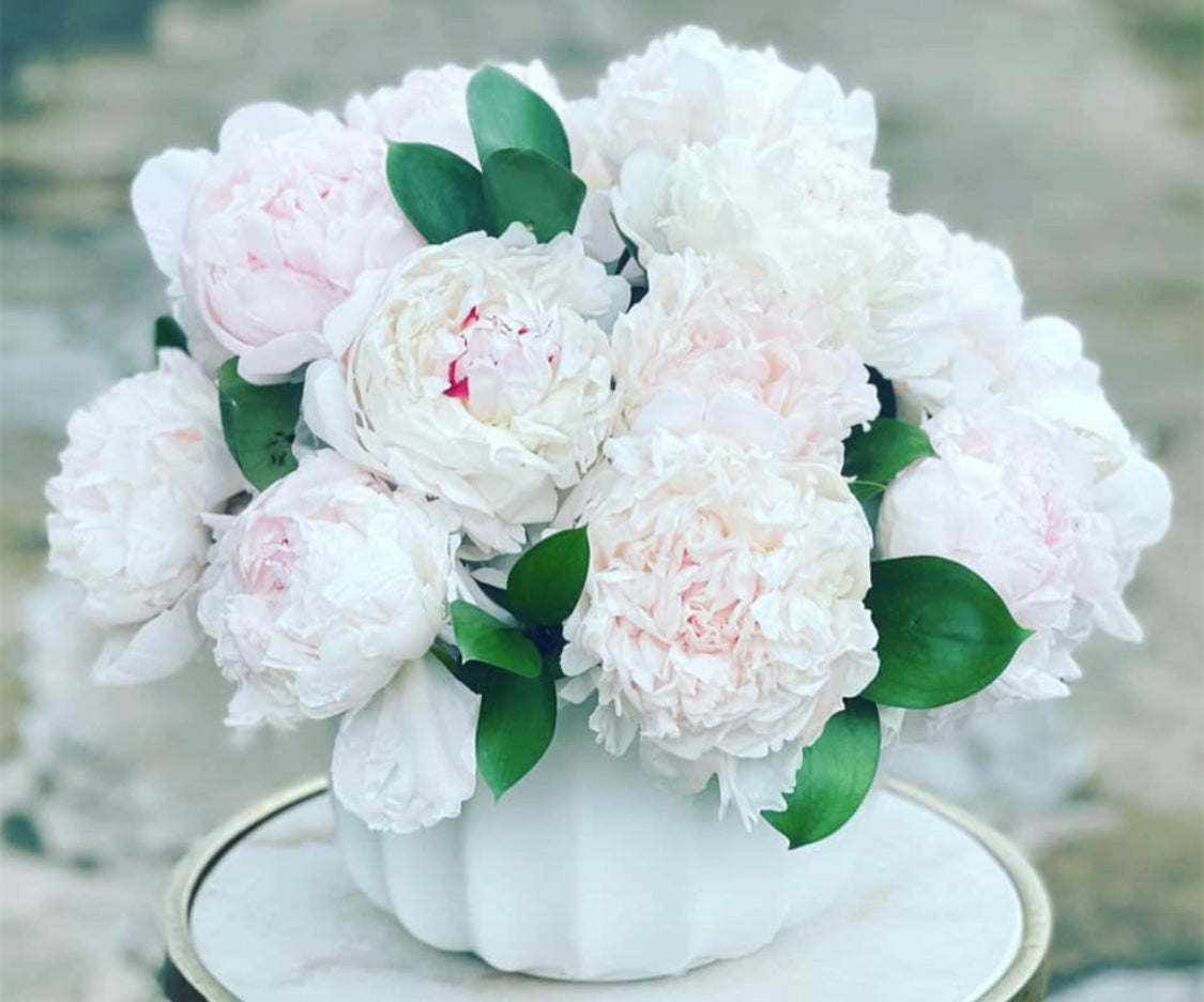 Peony Bowl