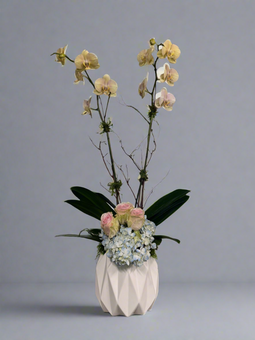 Orchids and Hydrangeas