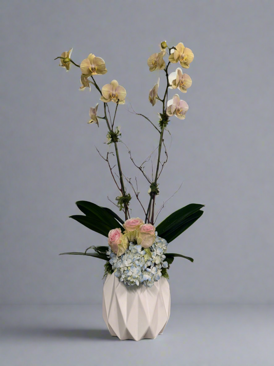 Orchids and Hydrangeas