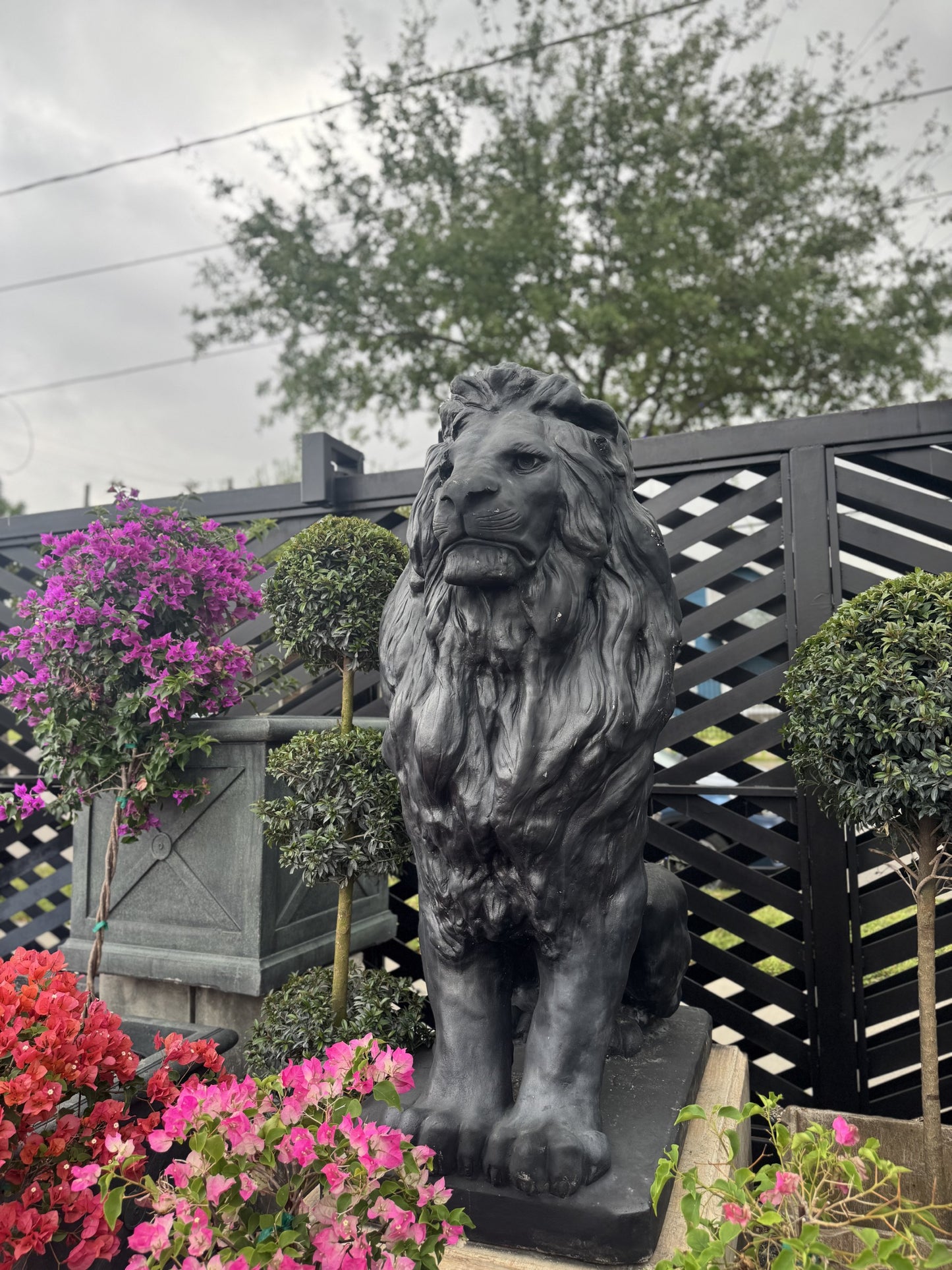 Black Lion Statue