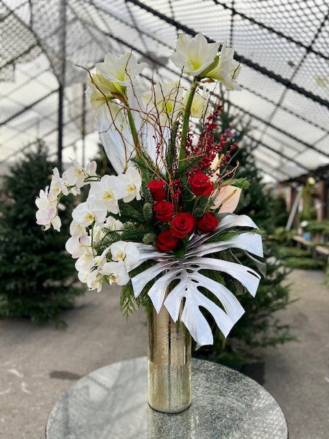 Amaryllis & Orchids