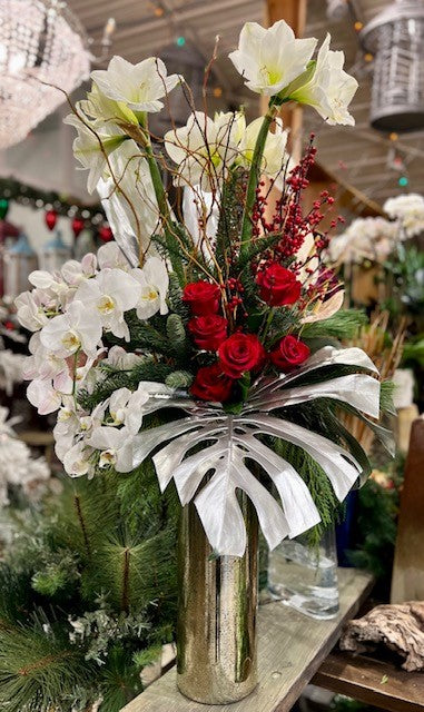 Amaryllis & Orchids