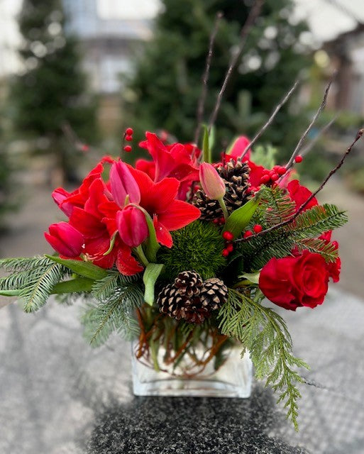 Christmas Reds