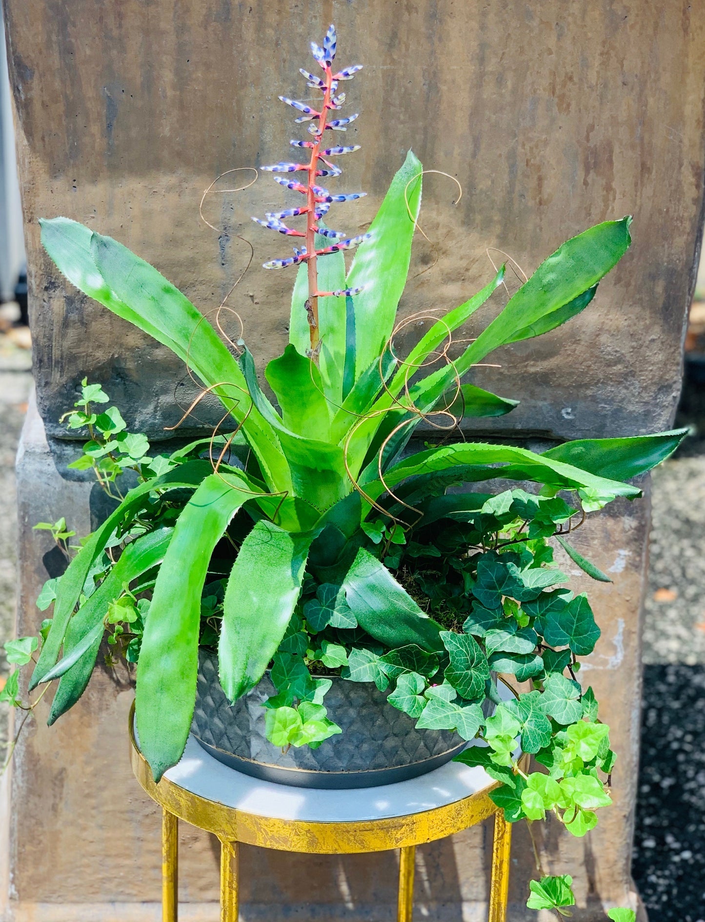 Blue Tango