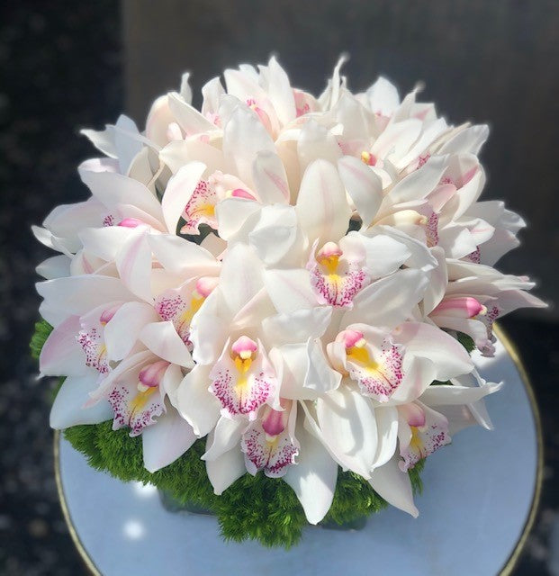 Butterfly Cake