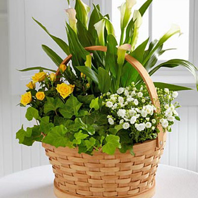 Cheerful Wishes Basket