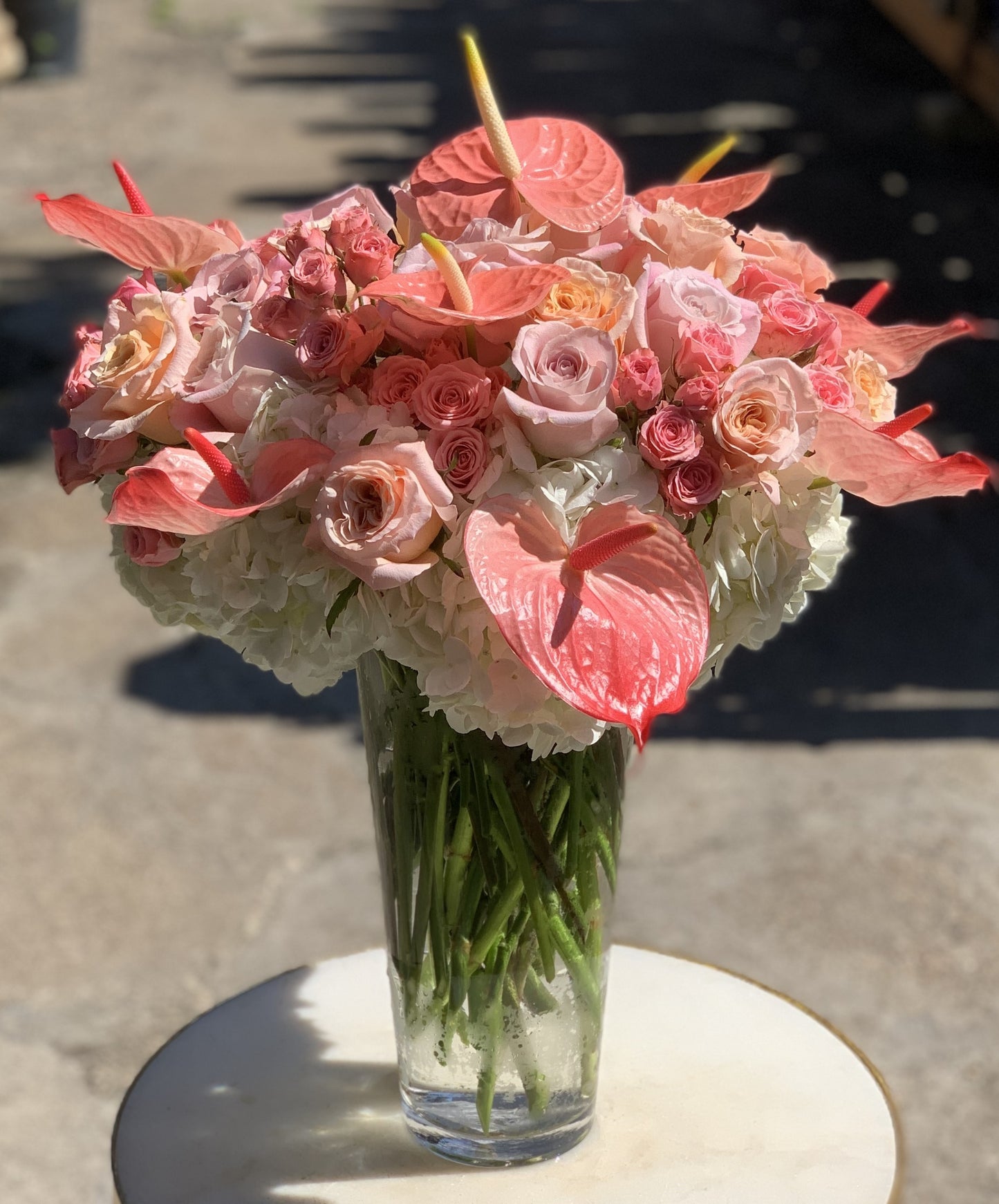 Anthurium Peach