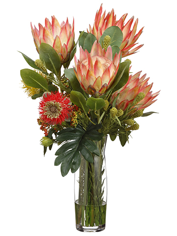 King Protea