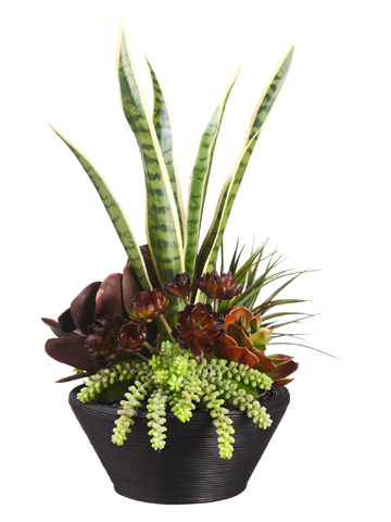 M. Tongue Bowl