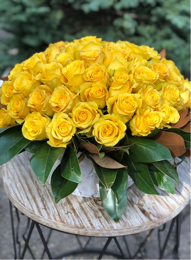 Yellow Sun