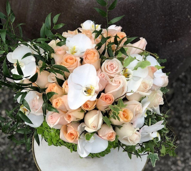 Peach Dream