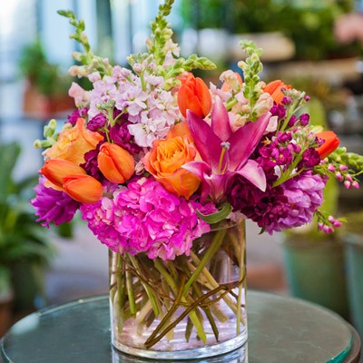 Fuschia Fun