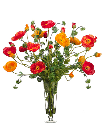 Poppy in a vase