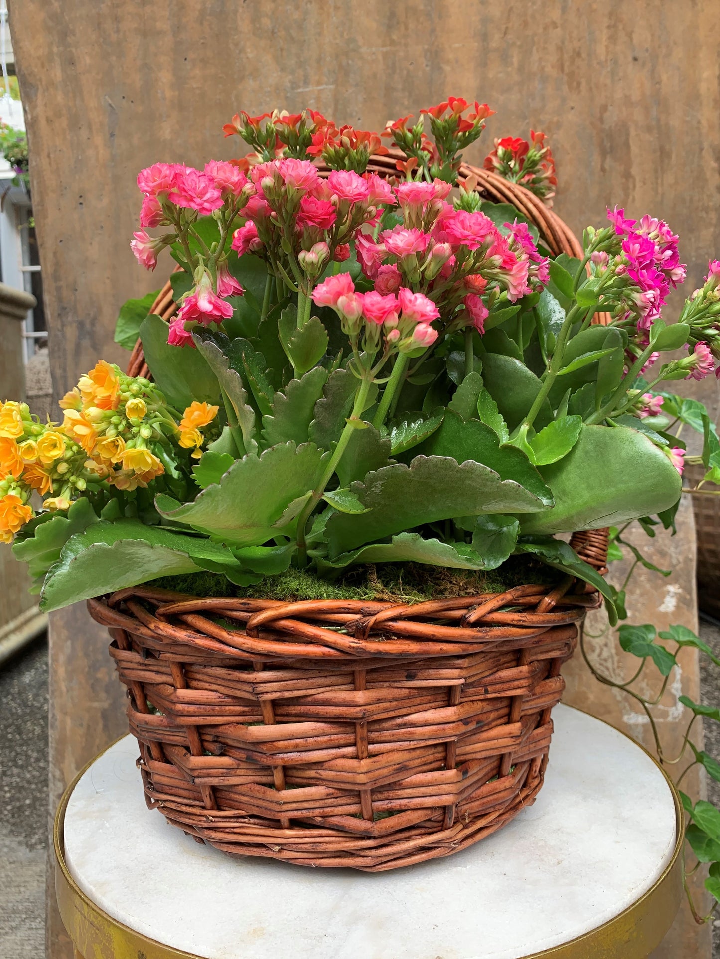 Summer Basket