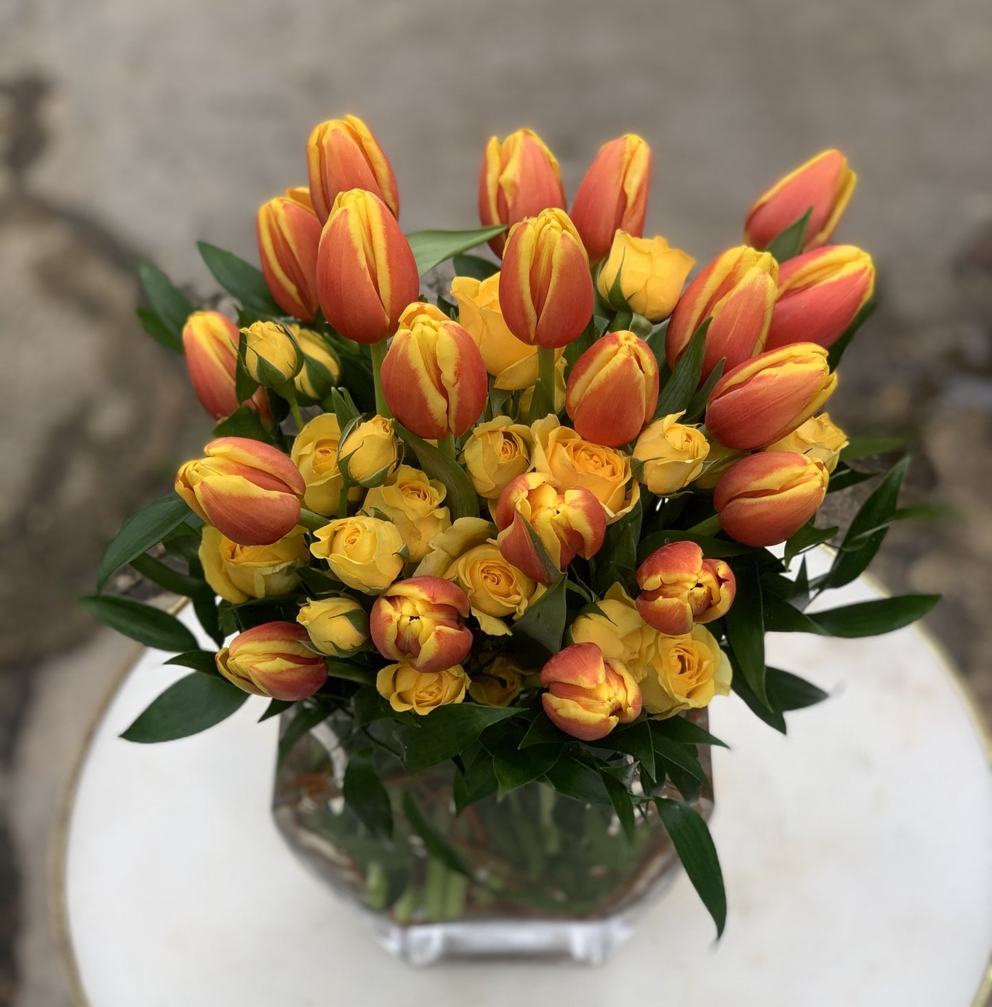 Tulip Sunrise