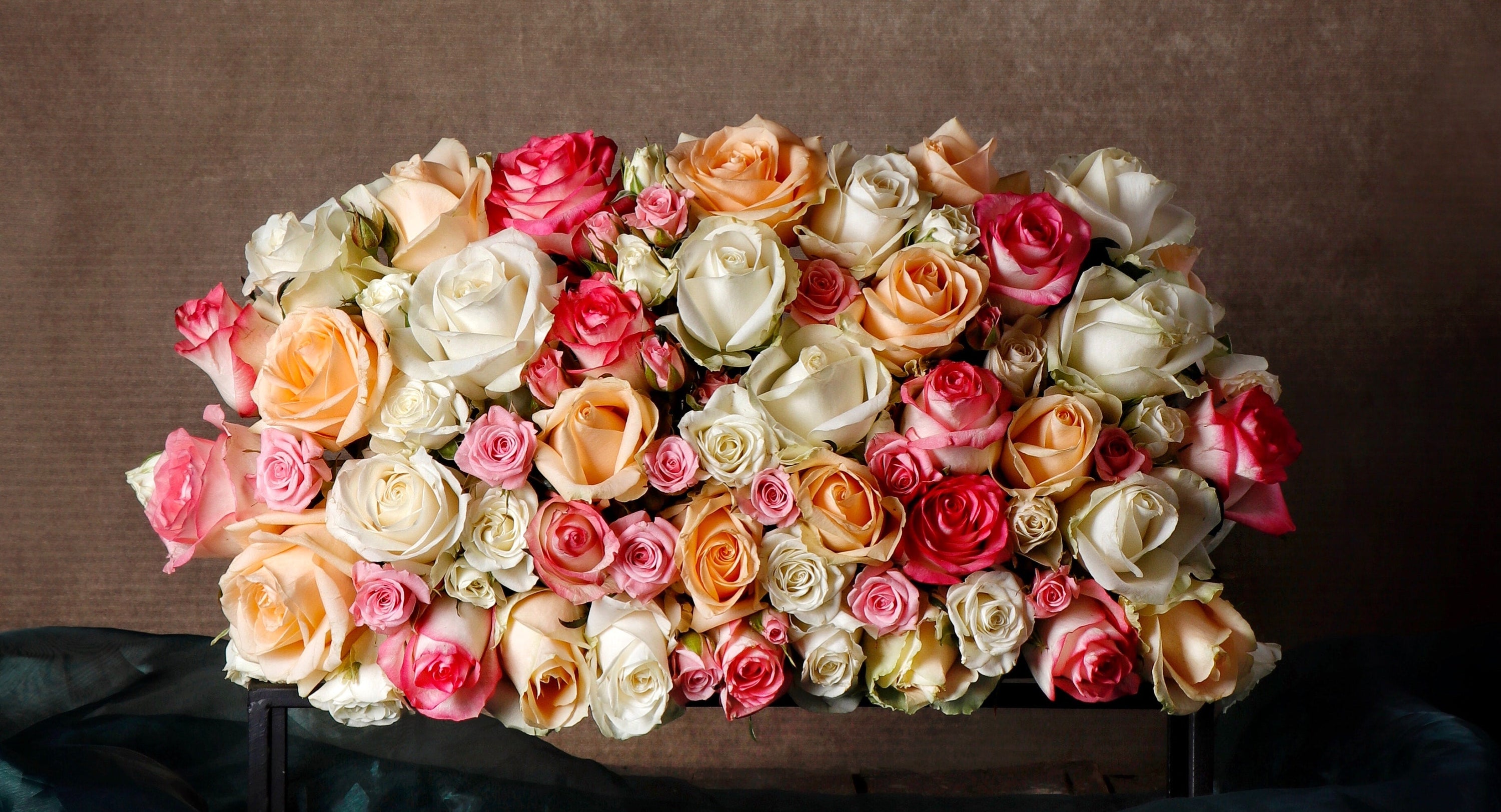 Flower Shop in Houston & Events Plants n' Petals Luxury Florist