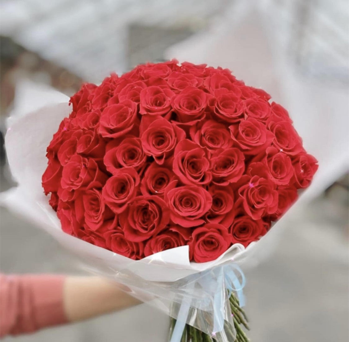 Every Day Collection – Plants N' Petals