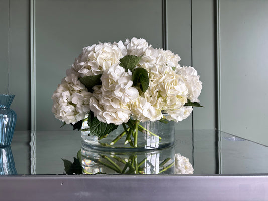 Moonlight Hydrangea
