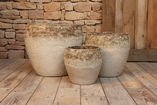 Timber Pot