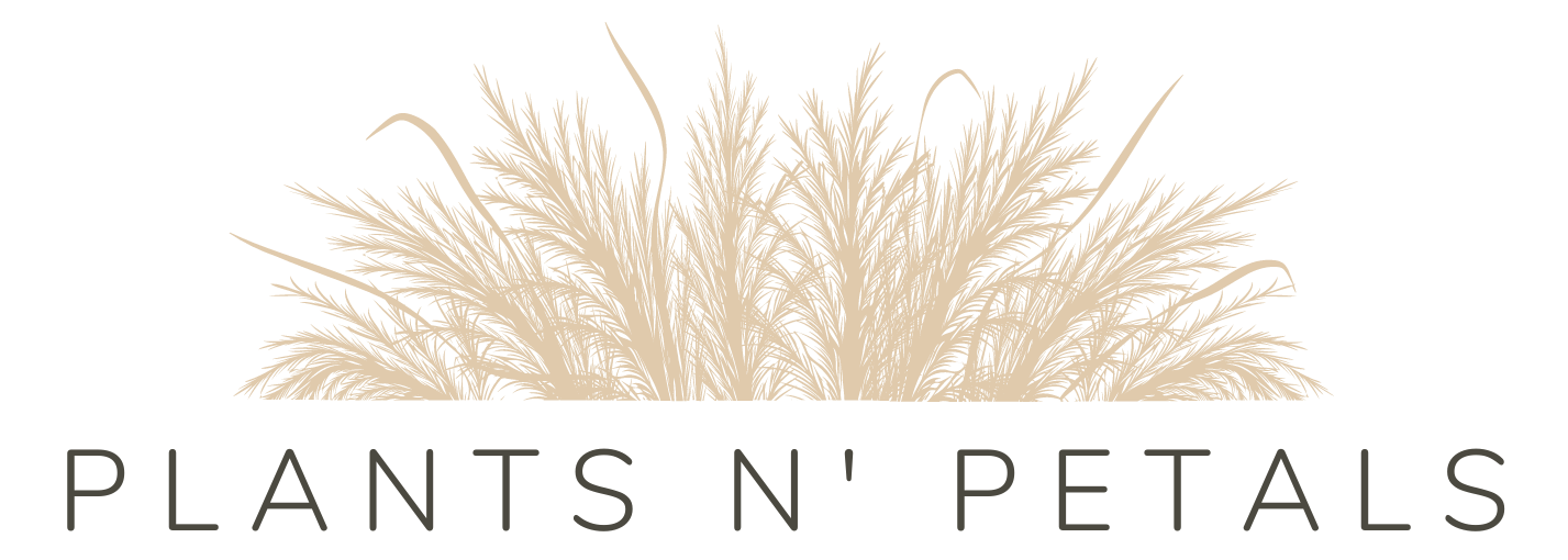 Plants N' Petals