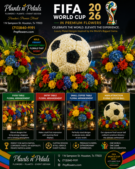 FIFA World Cup 2026™