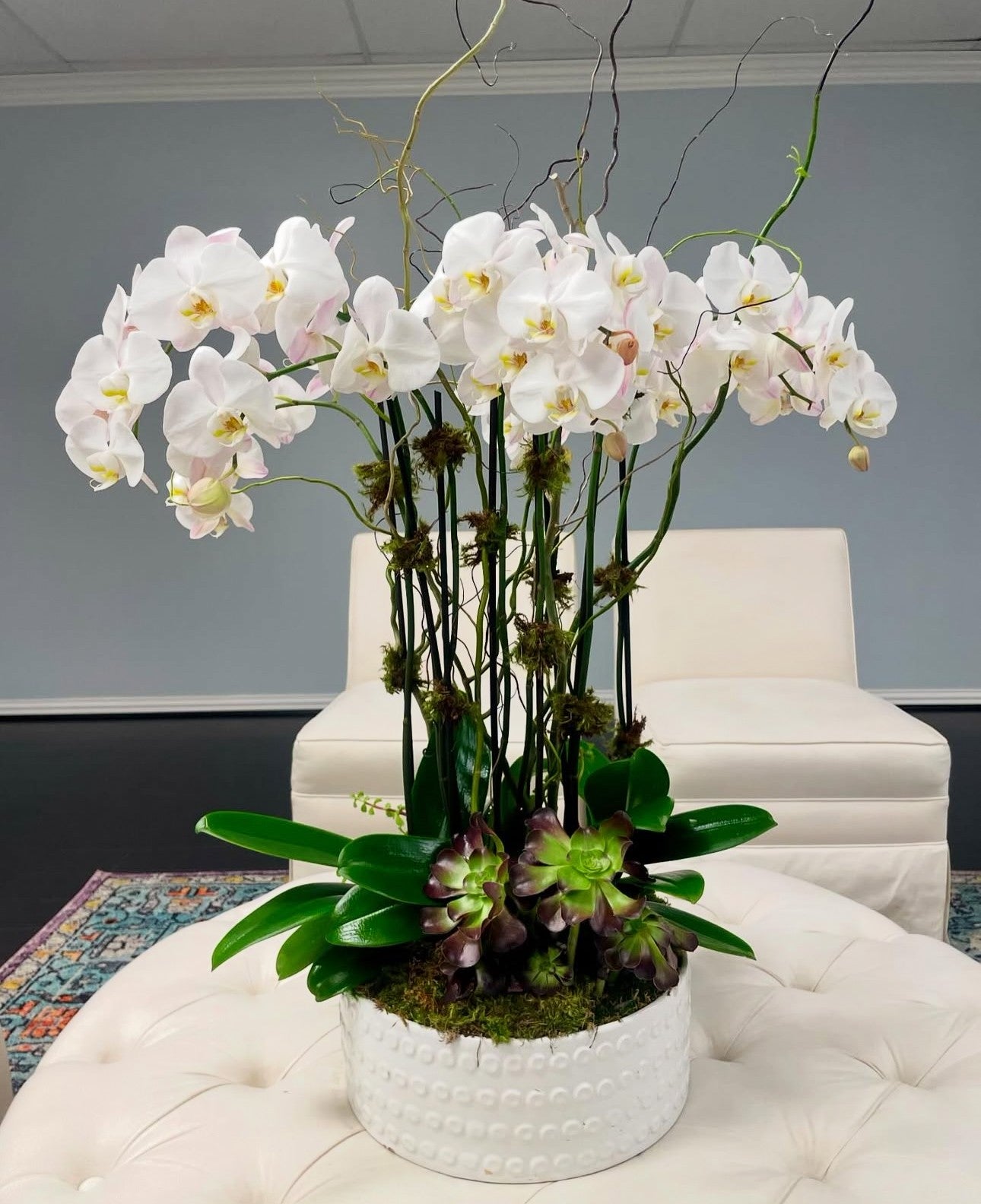 Timeless Orchid