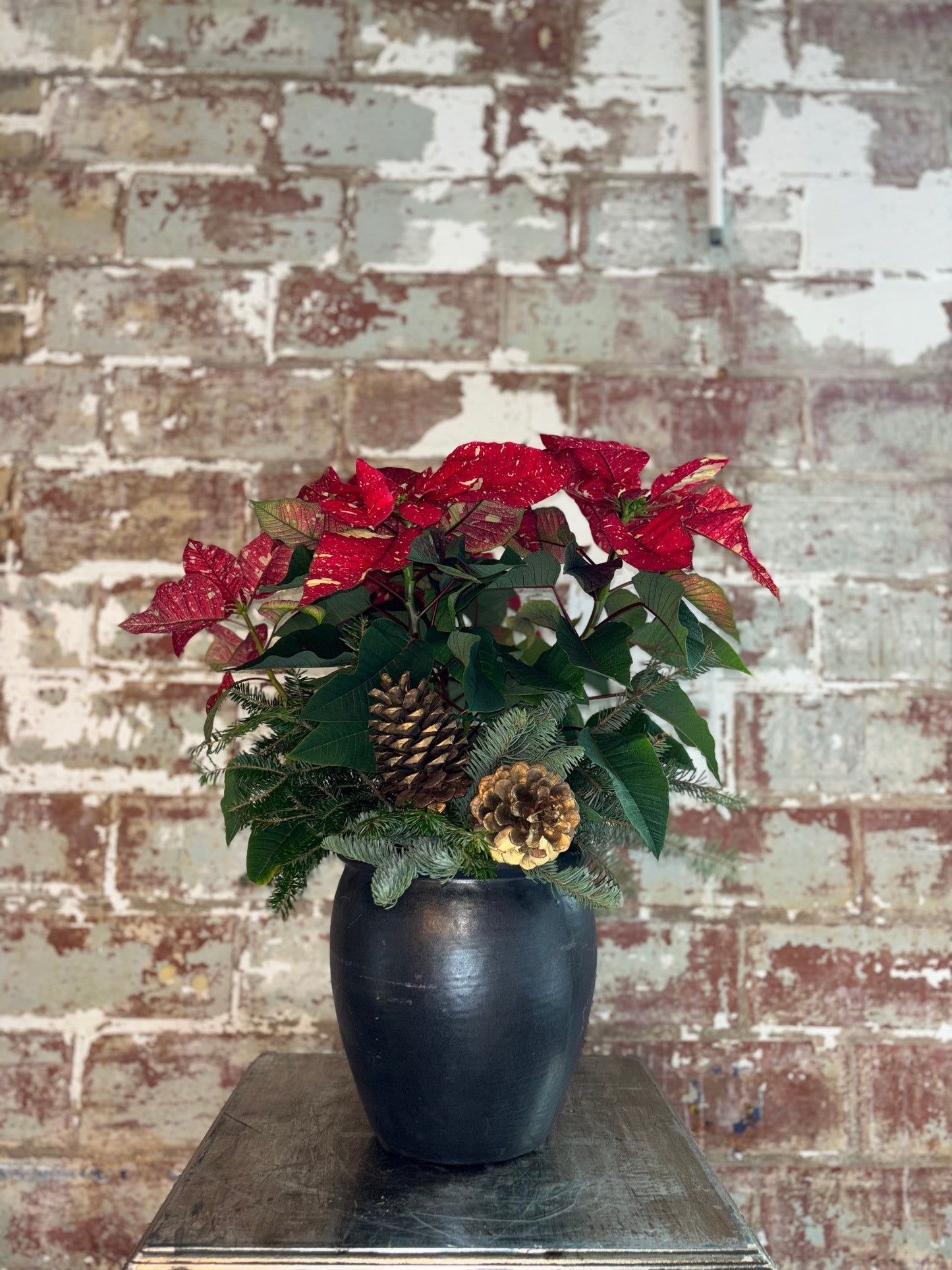 Glitter Christmas Poinsettia