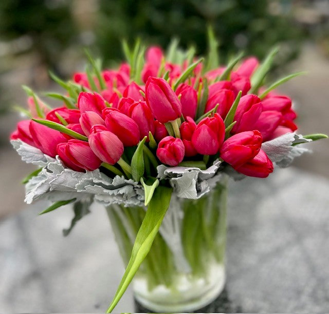 Crisp Red Tulips