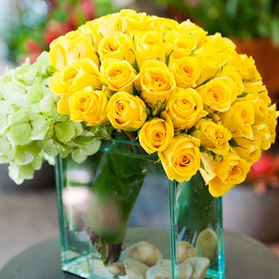 Yellow Roses of Texas