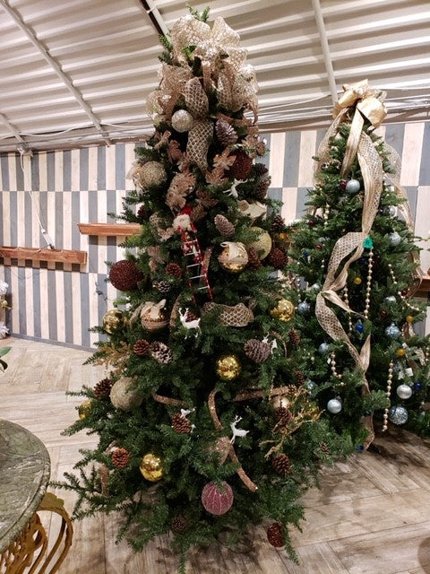 Burgundy Tree