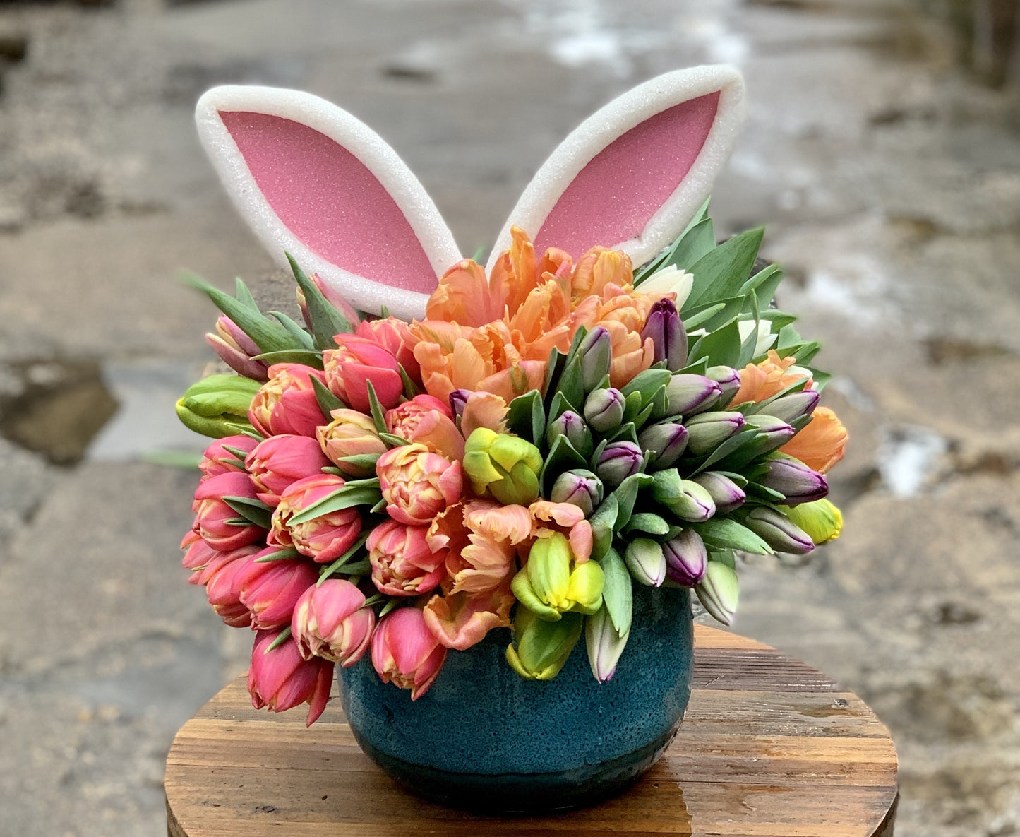 Honey Bunny