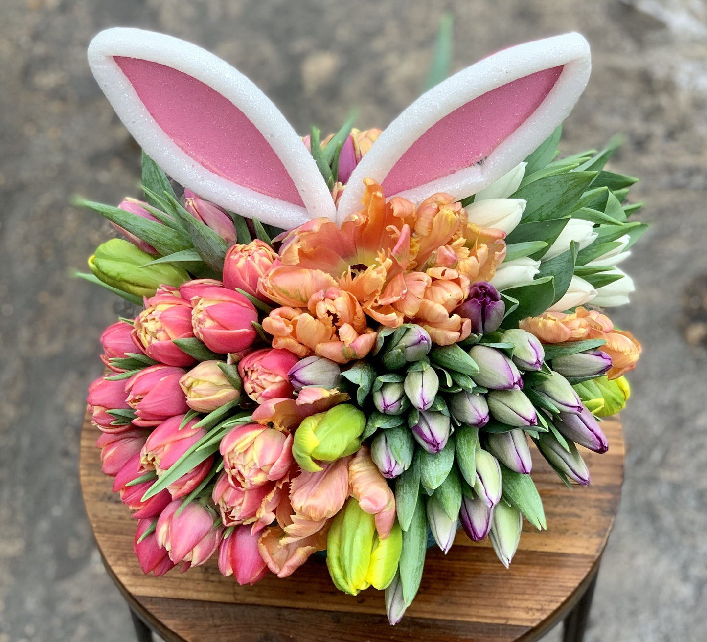 Honey Bunny