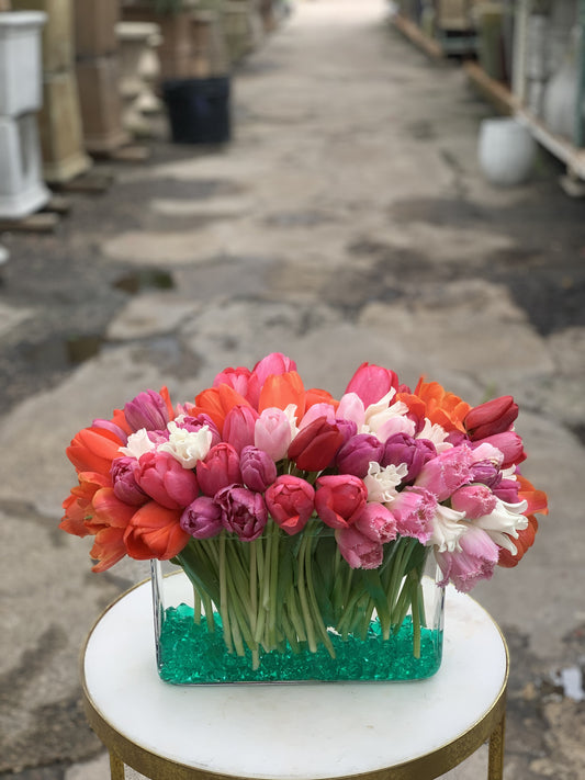 Sea Of Tulips